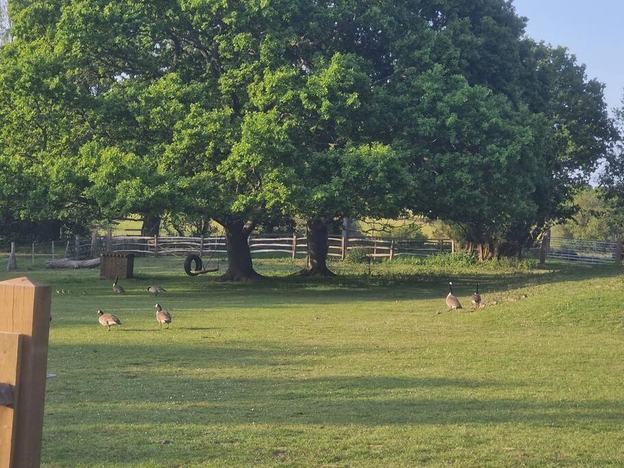 Апартаменты Country Retreat Near Sea And South Downs, On National Cycle Network
